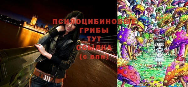амф Белоозёрский