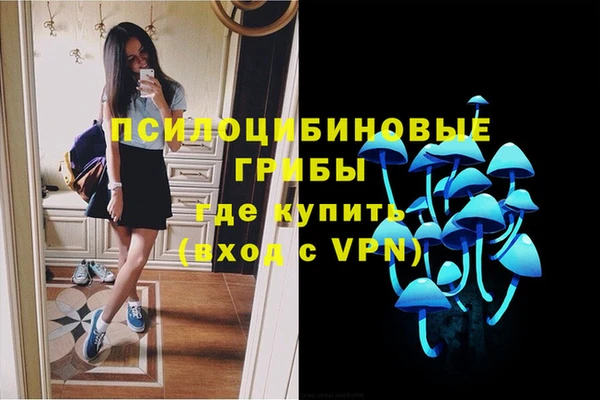 МДМА Белокуриха