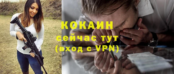 твердый Тайга