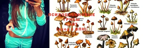 МДМА Белокуриха