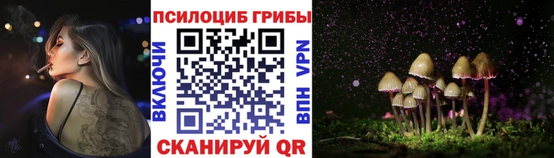 Галлюциногенные грибы мухоморы  hydra маркетплейс  Будённовск 